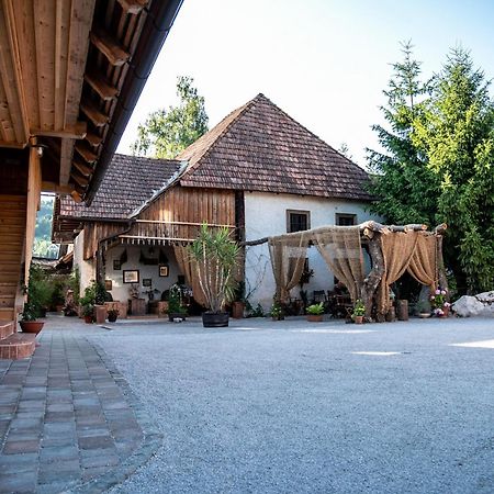 Resort Hisa Ida - Apartments With Hot Tub And Sauna Ivancna Gorica Екстериор снимка
